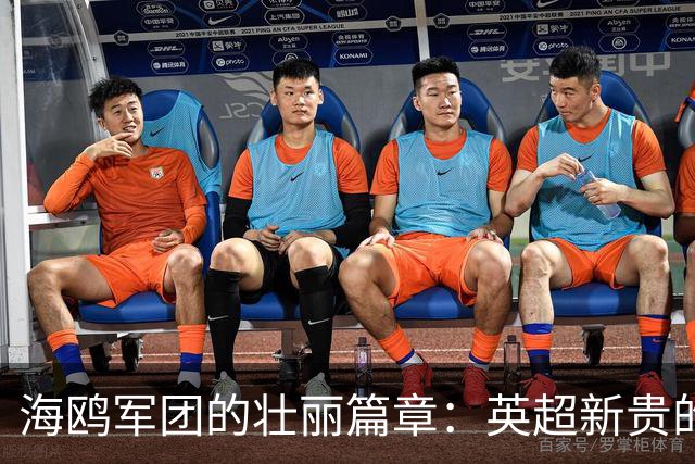 海鸥军团的壮丽篇章：英超新贵的辉煌七轮狂潮